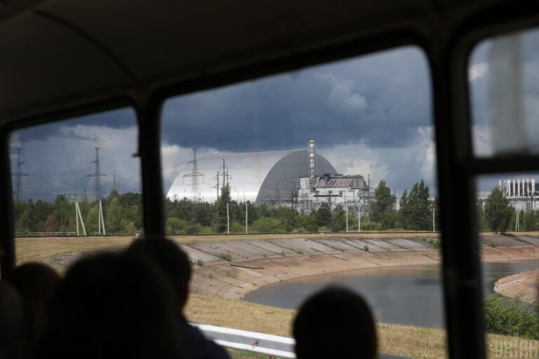 In Chernobyl, scientists found creatures that were not affected by the nuclear disaster: what is the reason
